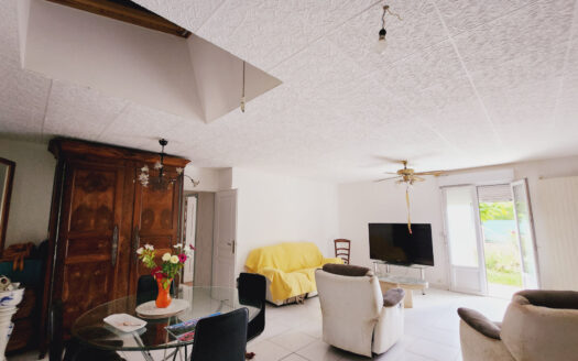 MAISON PLAIN PIED T6  AVEC STUDIO ET DOUBLE GARAGE