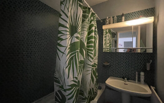 Appartement Le Bouscat 2 pièce(s) 40 m2